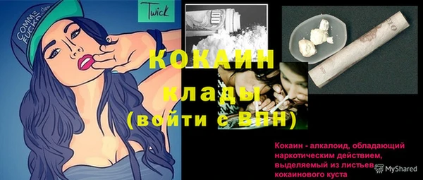 прущие грибы Заволжье