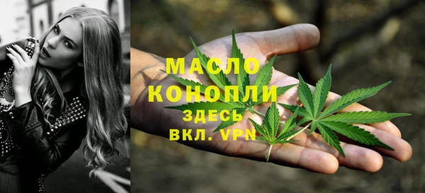 прущие грибы Заволжье