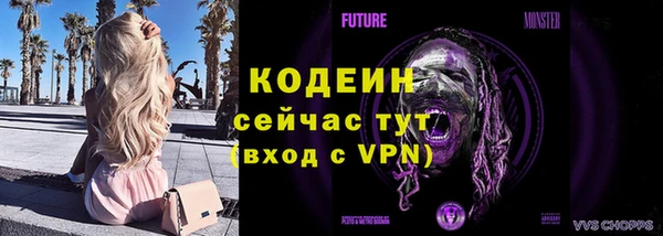 прущие грибы Заволжье