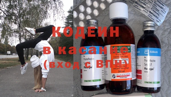 прущие грибы Заволжье