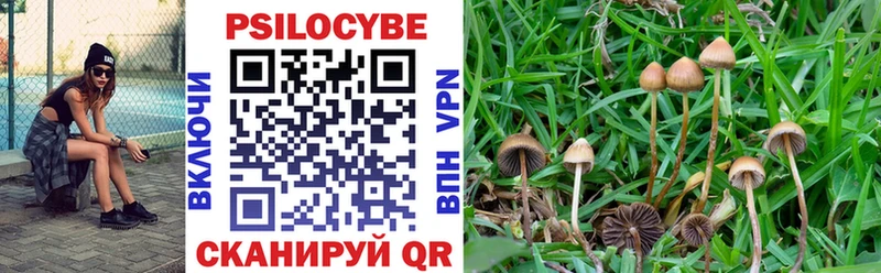 Галлюциногенные грибы MAGIC MUSHROOMS  Краснодар 